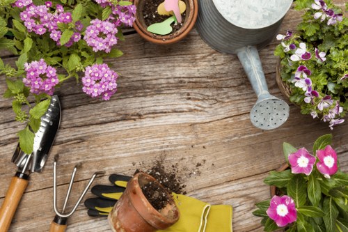 Poplar garden maintenance focusing on plant health and pest control
