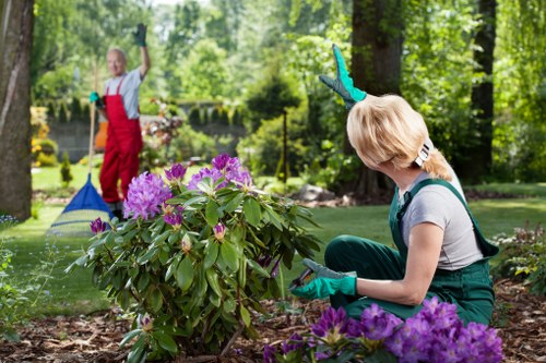 Landscape gardening in Poplar with elegant planting and paving