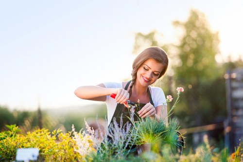 Healthy green lawn in Poplar with neat edging