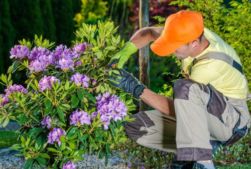 Landscapers Poplar team working safely during waste removal