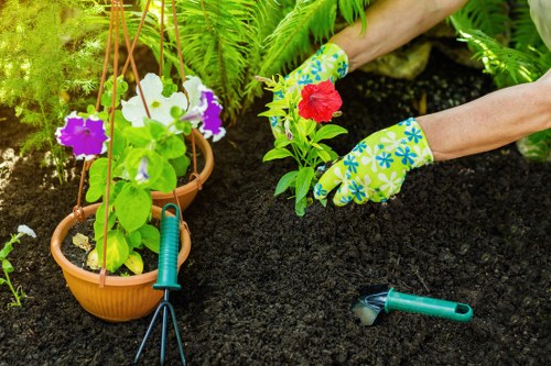 Seasonal lawn care and repair work on a Poplar property