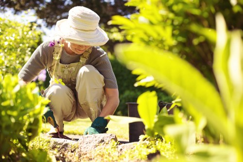 Feeding and fertilising a lawn in Poplar for better growth
