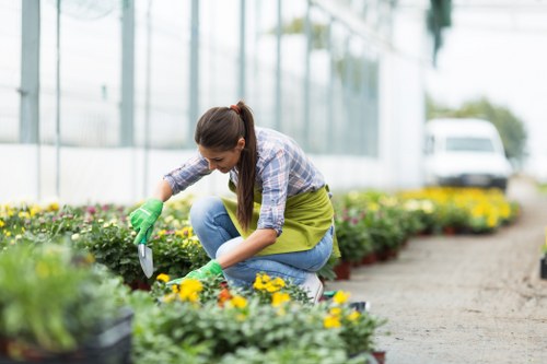Professional mowing and maintenance for a Poplar garden