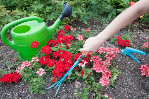Landscaping team creating a well-planned outdoor space in Poplar