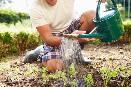 Landscapers Poplar quote for garden waste removal