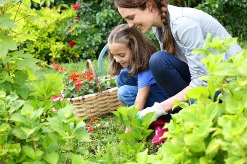 Free quote pricing for a Poplar landscaping job