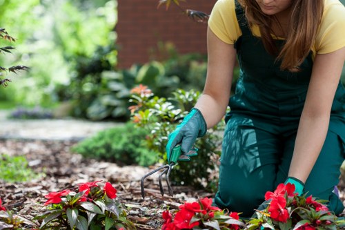 Space-saving garden renovation ideas for small Poplar gardens