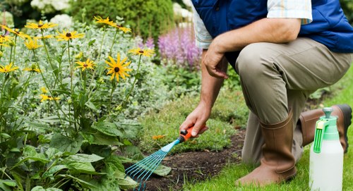 Residential and commercial planting services in Poplar