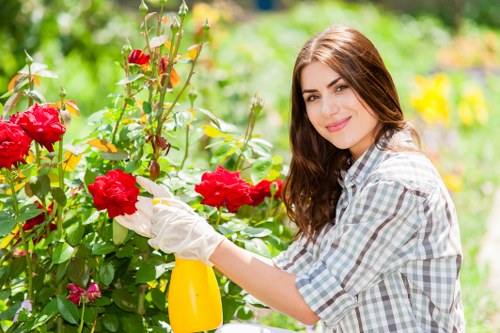 Illustration of website cookie management for Landscapers Poplar