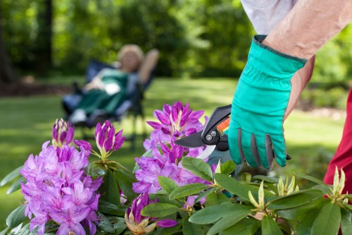 Professional decking maintenance and repair work in Poplar