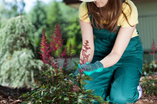 Professional Landscapers Poplar completing a modern outdoor space