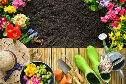 Planning a landscaping project in a compact Poplar yard