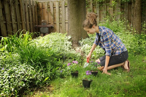 Seasonal garden maintenance in Poplar with healthy shrubs and borders
