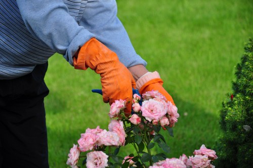 Professional landscapers shaping a balanced outdoor area in Poplar