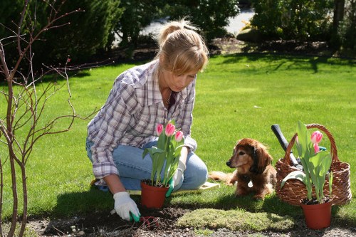 Poplar garden design with structured planting and clean pathways