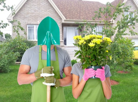 Healthy, freshly trimmed hedge providing privacy in Poplar