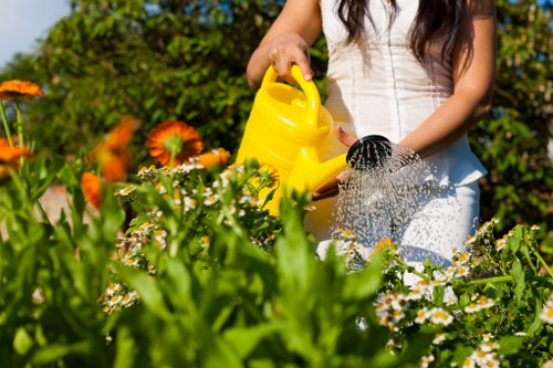 Soft landscaping and shrubs for a Poplar garden makeover