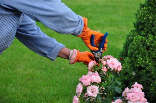 Professional landscape gardening project in Poplar with structured planting