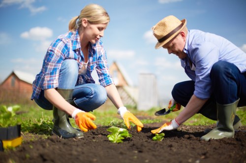 Routine garden maintenance in Poplar including pruning and weeding
