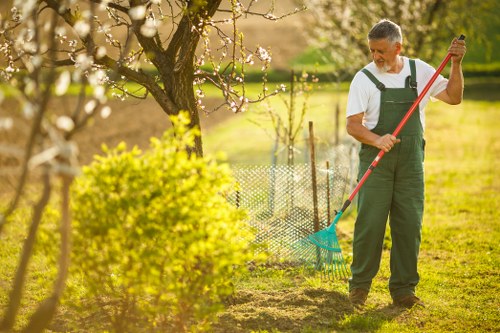 Local lawn care work improving grass health in Poplar